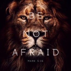 Meet your Posher, Greg